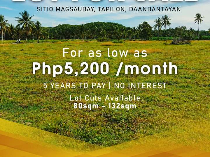 residential lot in tapilon daanbantayan cebu