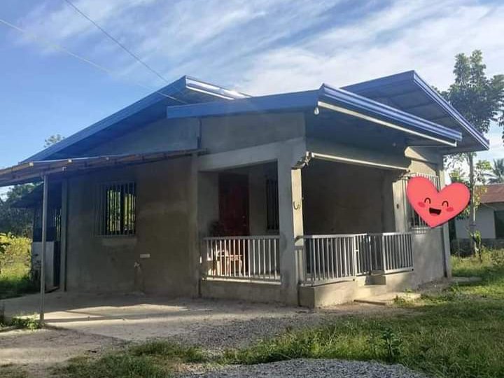 2.5M House and Lot with Pig Pen For sale