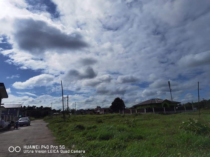 150 sqm Residential Lot For Sale in Silang Cavite