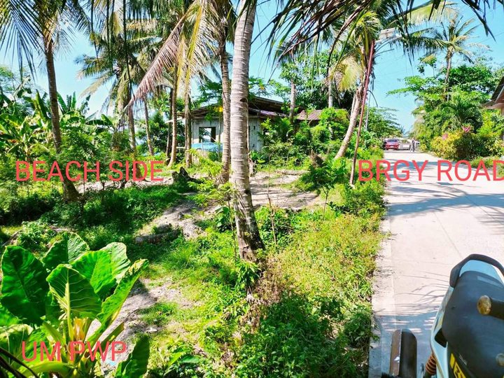 400 sqm Beach Property For Sale in Dumanjug Cebu