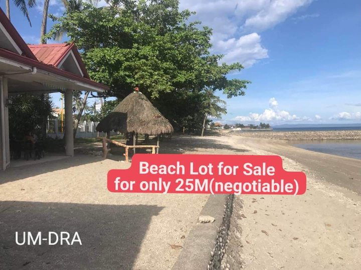 600 sqm Beach Property For Sale in Argao Cebu