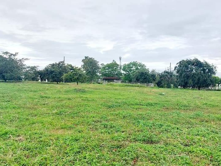 252 sqm and up Commercial and Residential in Calamba Laguna