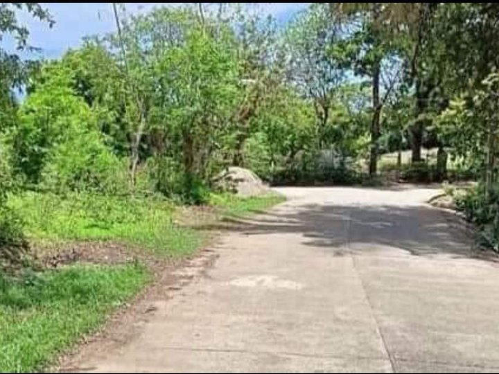 226 sqm Residential Lot For Sale in Laoag Ilocos Norte [Lot 🚜] (January