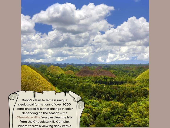 100 sqm Residential Lot For Sale near CHOCOLATE HILLS,Bohol