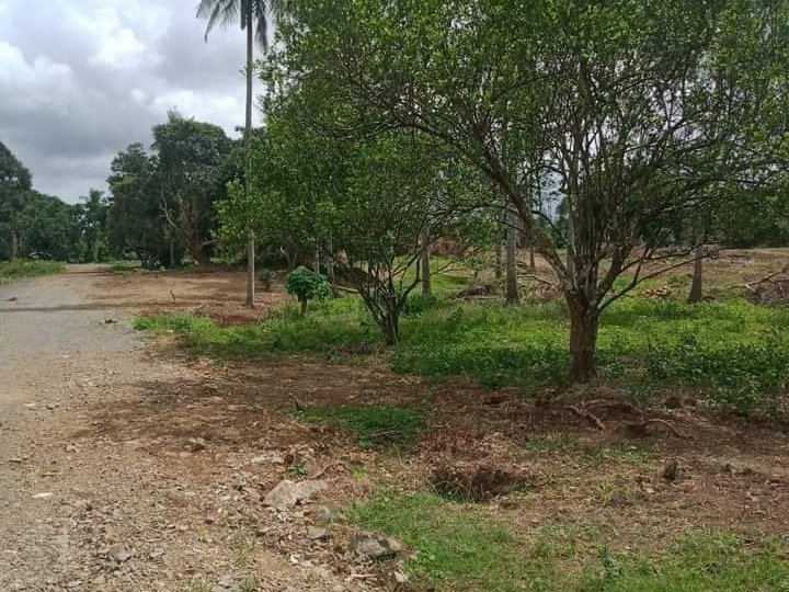 100 sqm Residential Lot For Sale