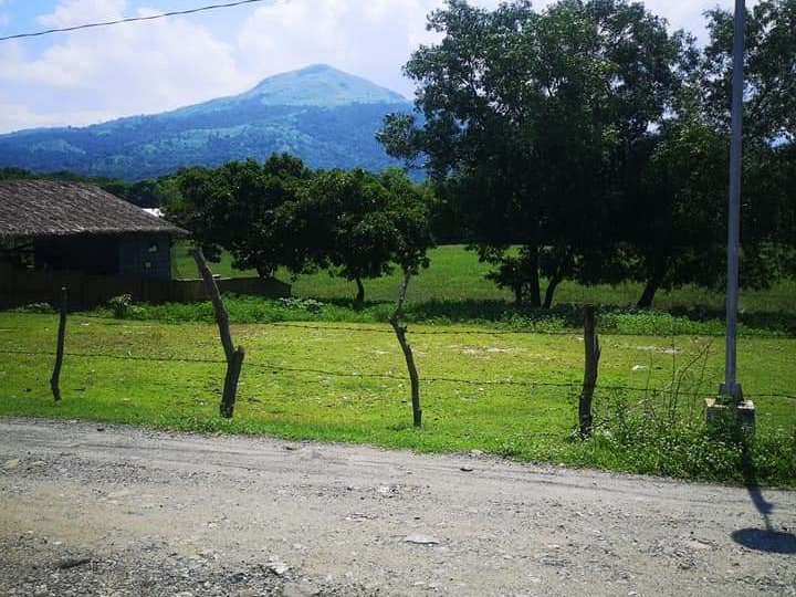 1,000 sqm Residential Lot For Sale in Botolan Zambales