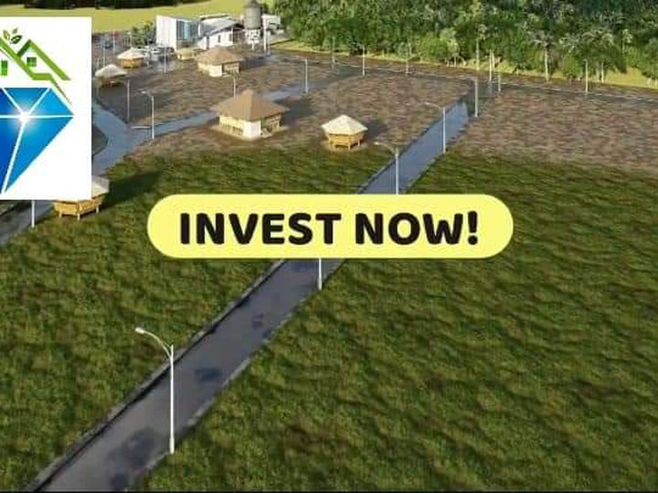 Siargao Subdivision Residential Farm for Sale