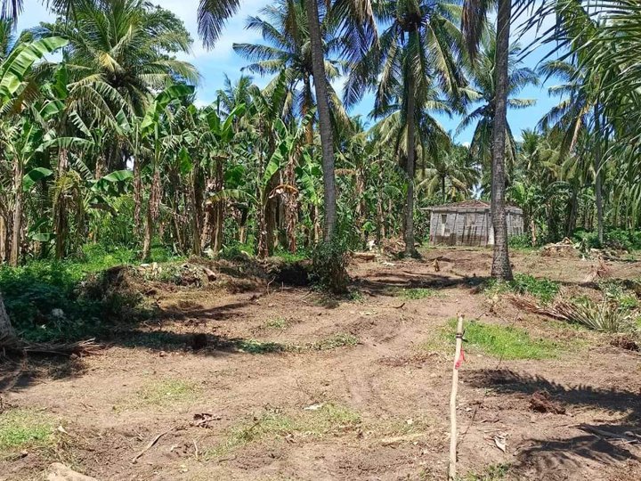 LOT FOR SALE near ECOTOURISM ROAD in SAN ISIDRO CANDELARIA QUEZON