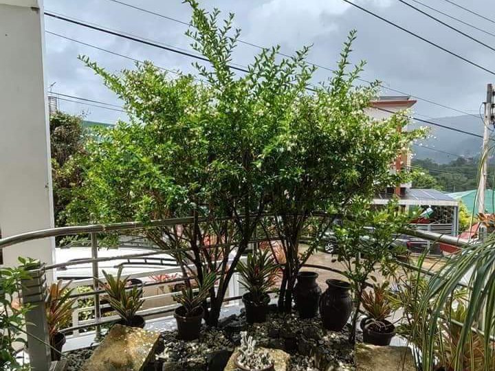 5 Bedroom single detached house in Baguio City