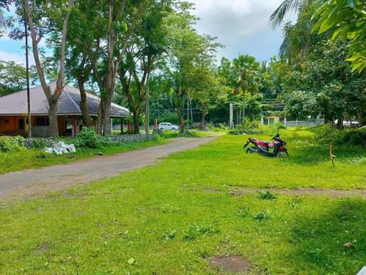 150 sqm Residential Farm For Sale in San Pablo Laguna