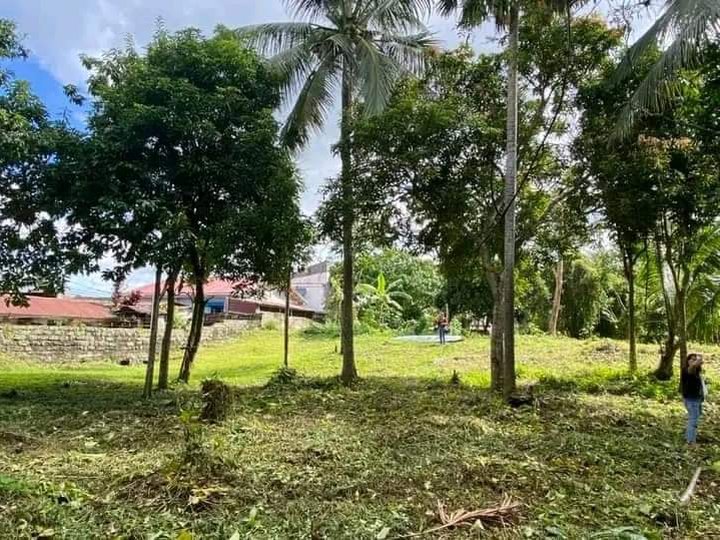 154 sqm Residential Farm For Sale in Silang Cavite