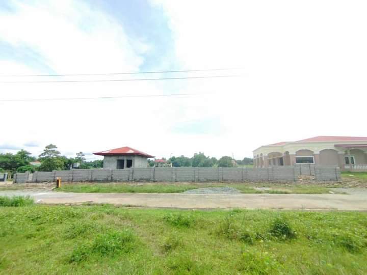 111 sqm Residential Lot For Sale in Alaminos Pangasinan