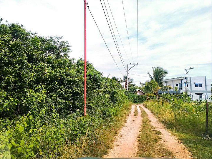 2181 sqm Commercial Lot for sale in Danao, Panglao