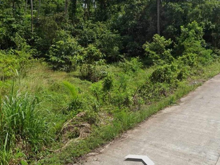 305 sqm Residential Lot For Sale in Cortes Bohol