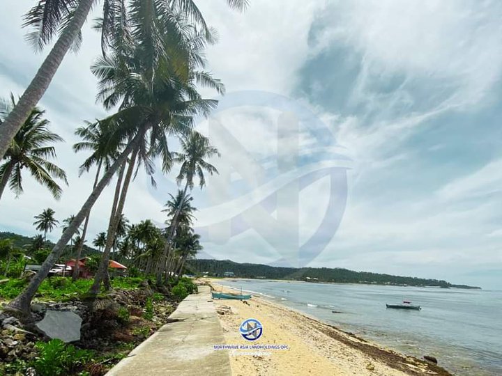 SIARGAO BEACHFRONT FOR SALE