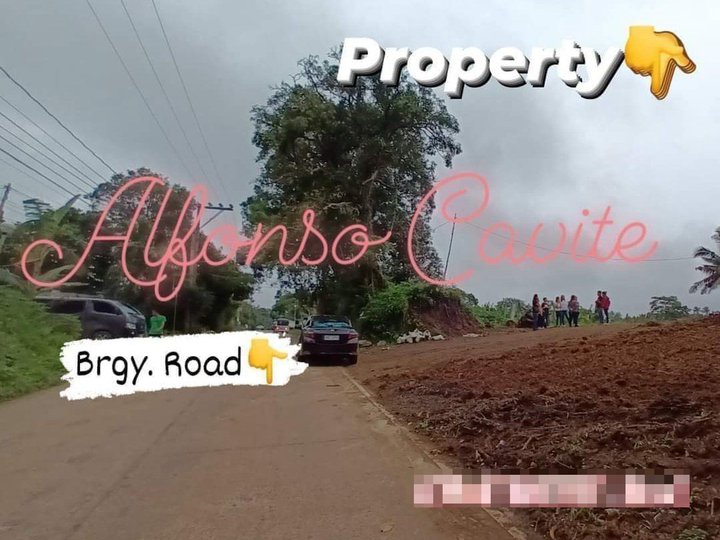 200 sqm Residential Farm For Sale in Alfonso Cavite