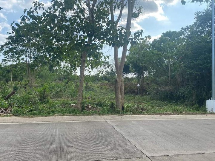 3,895 sqm Commercial Lot For Sale in Panglao Bohol