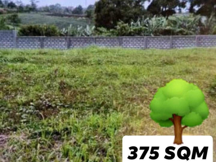 375 sqm Residential Lot For Sale in Tagaytay Cavite