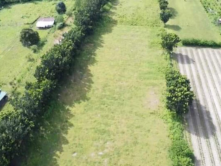 400 sqm Agricultural Farm For Sale in Castillejos Zambales