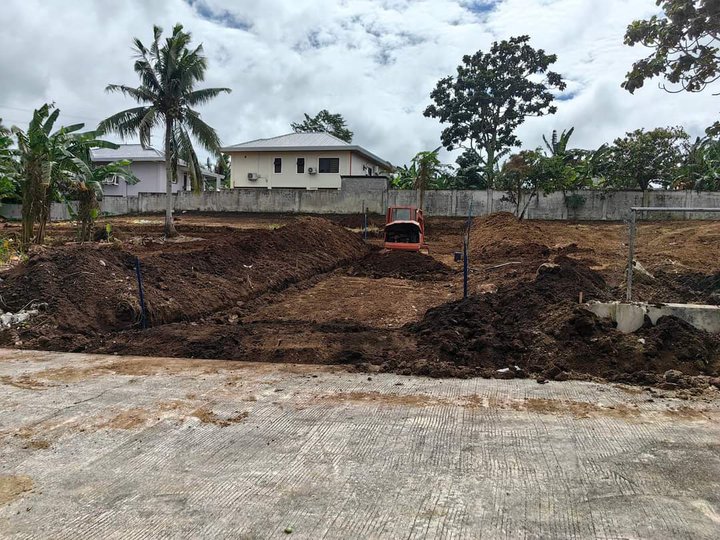 120 sqm  Gated Farm Lot For Sale in Amadeo Cavite