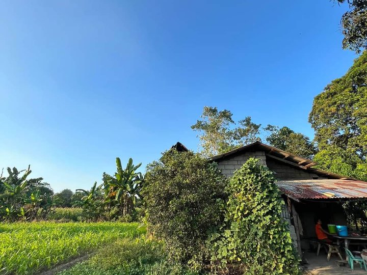 2.2 hectares Residential Farm For Sale in Balungao Pangasinan