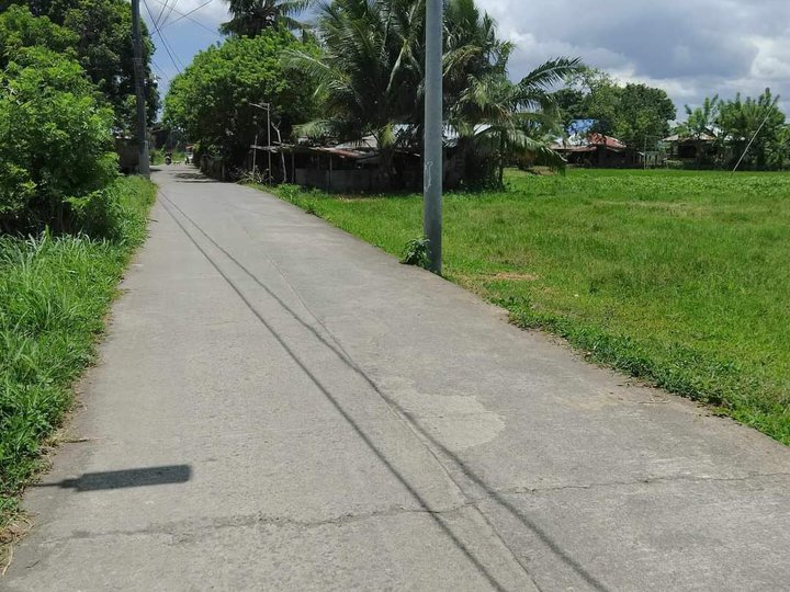 1.02 hectares Residential Farm For Sale in Tiaong Quezon