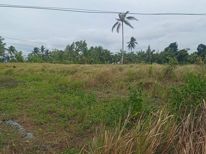 500sqm. Residential farm for sale in pinamungajan cebu