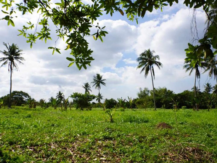 400 sqm Residential Farm For Sale in Indang Cavite [Lot 🚜] (May 2024 ...