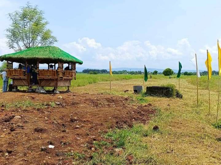100sqm Residential farm lot for Sale in Laguna