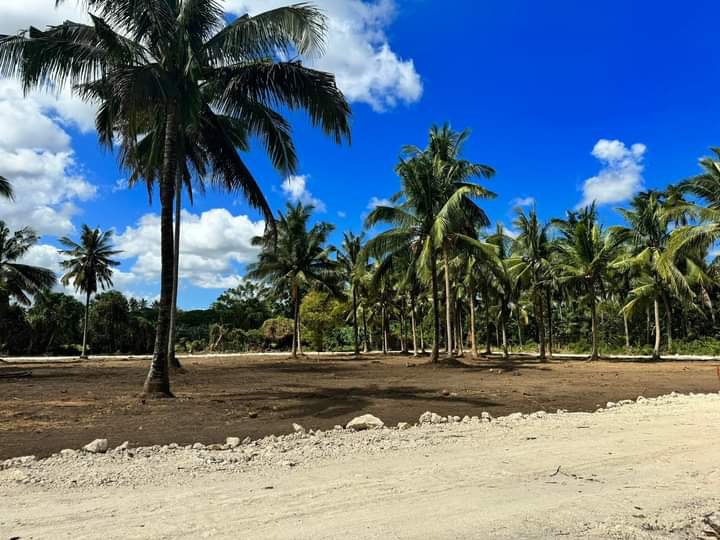 Affordable Farmlot for sale in Tiaong Quezon