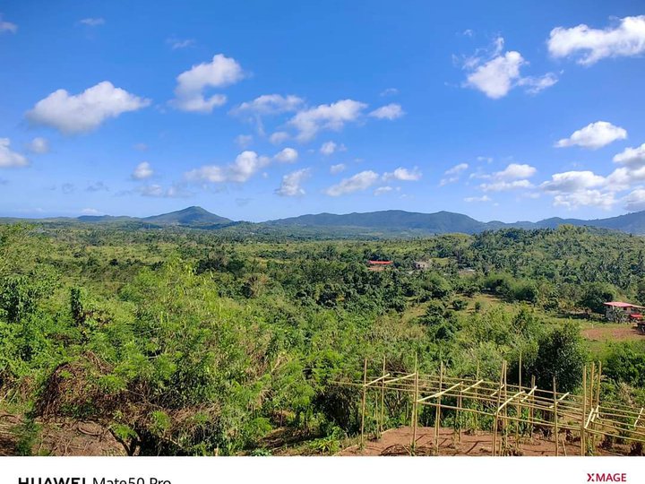 3.5hectares Agricultural Farm for Sale in Puerto Princesa Palawan