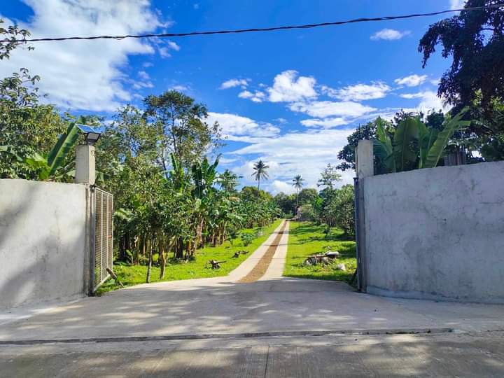 5,584 sqm Residential Farm For Sale in Alfonso Cavite