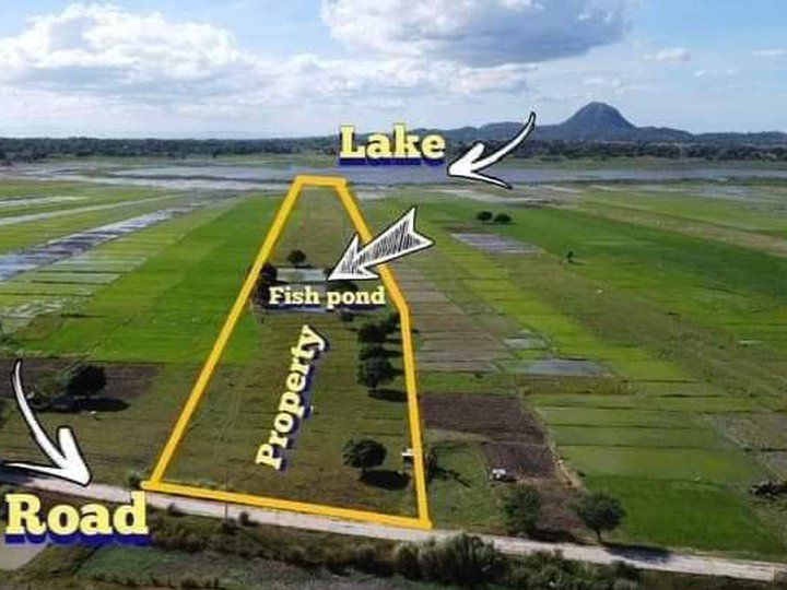 2.5 hectares Agricultural Farm For Sale in Cuyapo Nueva Ecija