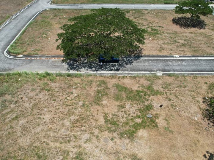 513 sqm Residential Lot For Sale in The Orchard Dasmarinas Cavite