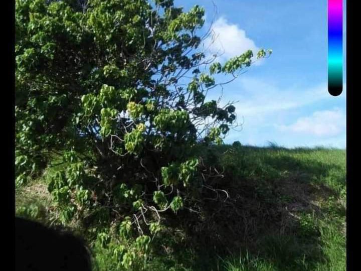 300sqm Residential Lot For Sale in Lemery Batangas