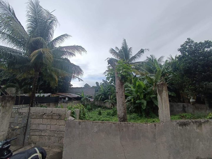 Near BIR Lot For Sale along cemented road