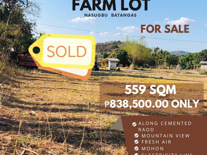 559 sqm Agricultural Farm For Sale in Nasugbu Batangas