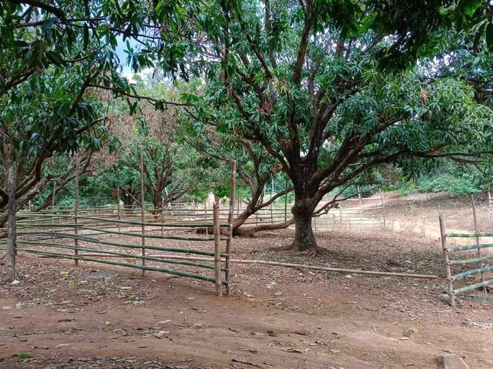 hulugang farm lot sa Sitio singalong brgy san jose antipolo city