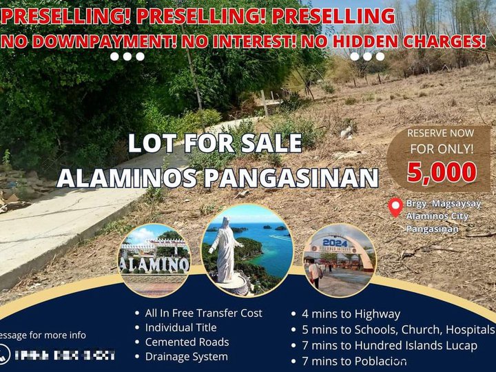 Lot For Sale in Near Poblacion Alaminos Pangasinan 60 sqm Minimum Cut