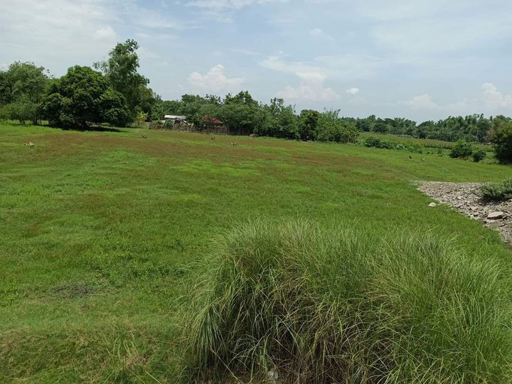 1 hectare Residential Lot For Sale in San Fabian Pangasinan