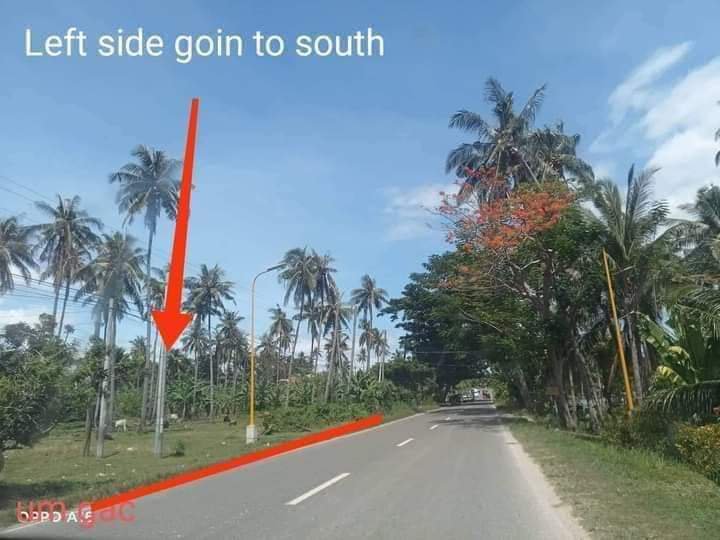 1.3 hectares Commercial Lot For Sale in Argao Cebu