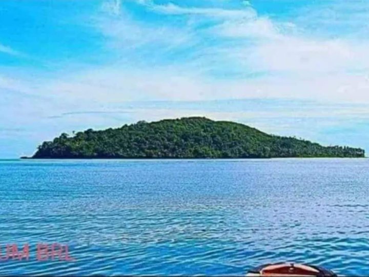 42.11 hectares Beach Property For Sale in Palawan