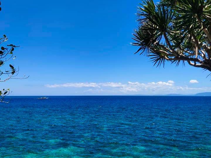 beach property for sale in Camotes Island