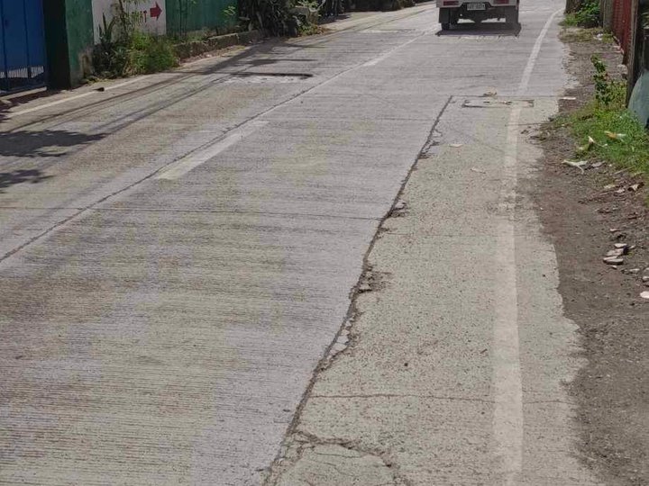 1,200 sqm Lot For Sale in Mandaue Cebu