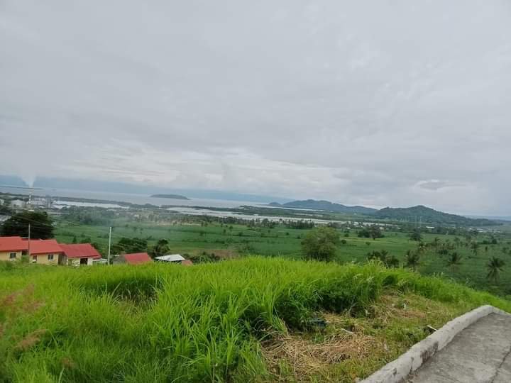 72 sqm Residential Lot For Sale in Bais Negros Oriental