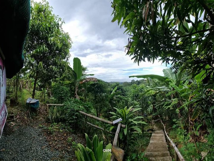 1,542 sqm Residential Farm with City View For Sale in San Mateo Rizal
