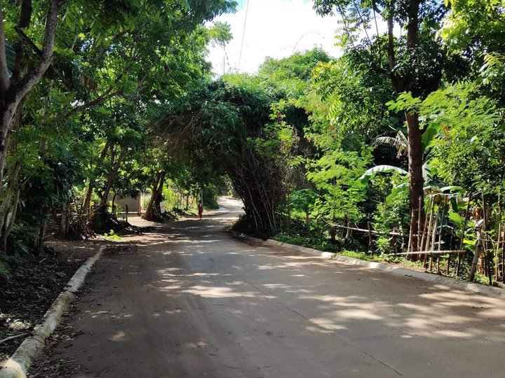 Residential Lot along Brgy. Road! As low as 9,345 monthly!