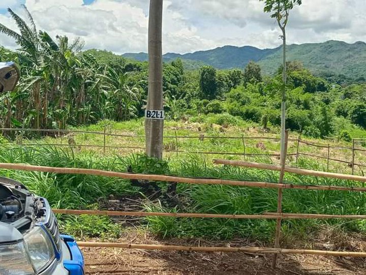 hulugang farmlot sa tandang kutyo tanay rizal