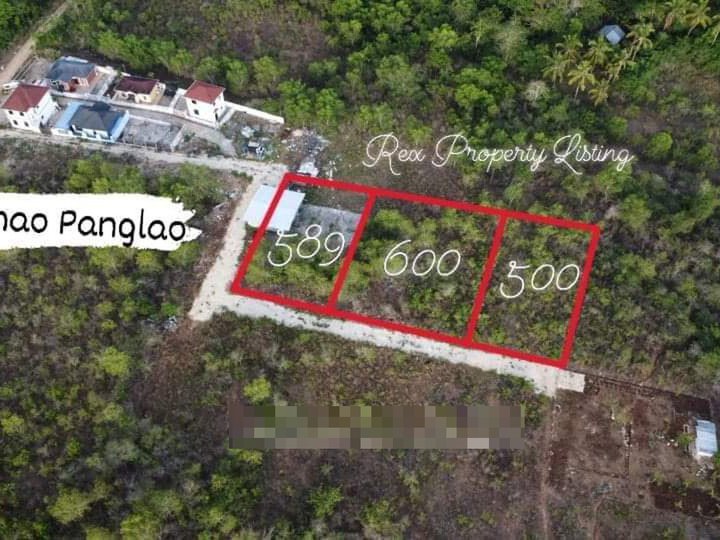 589 sqm Residential Lot For Sale in Panglao Bohol