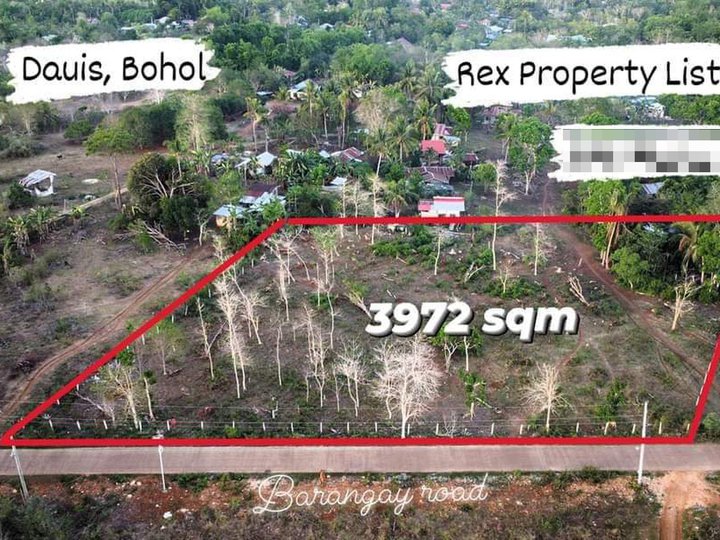 3,972 sqm Residential Lot For Sale in Dauis Bohol